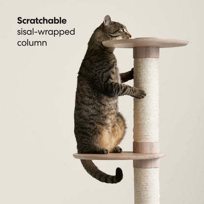 3-Tier Cat Climbing Tree