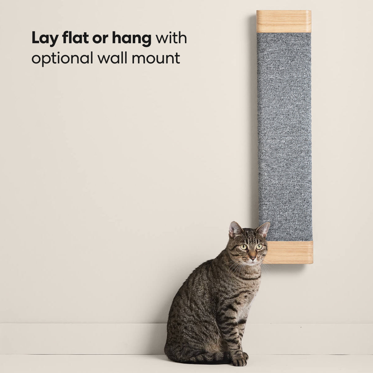 Cat Scratching Board