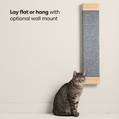 Cat Scratching Board