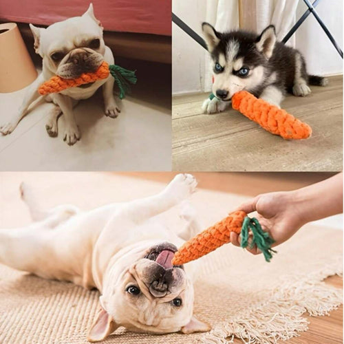Carrot Rope Dog Toy