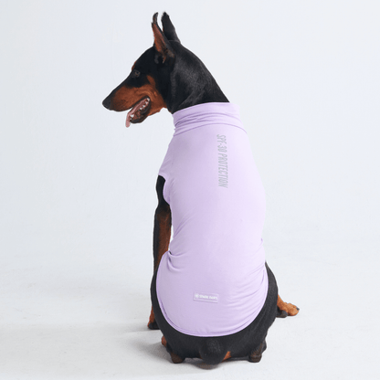Sun Protection Dog T-Shirt