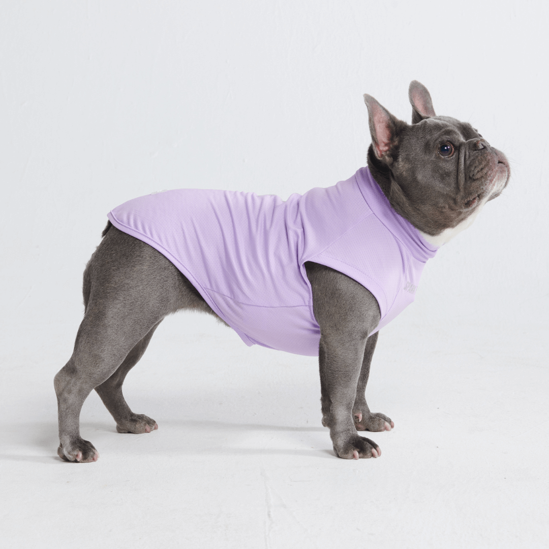 Sun Protection Dog T-Shirt