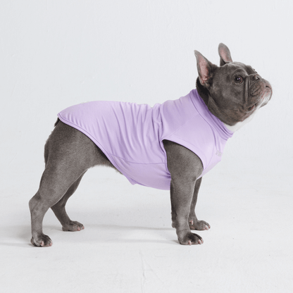Sun Protection Dog T-Shirt
