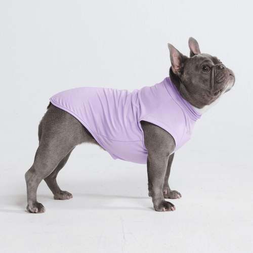 Sun Protection Dog T-Shirt