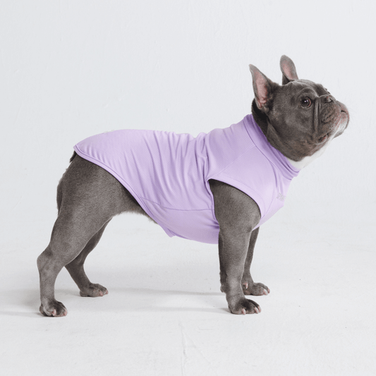 Sun Protection Dog T-Shirt
