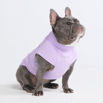 Sun Protection Dog T-Shirt