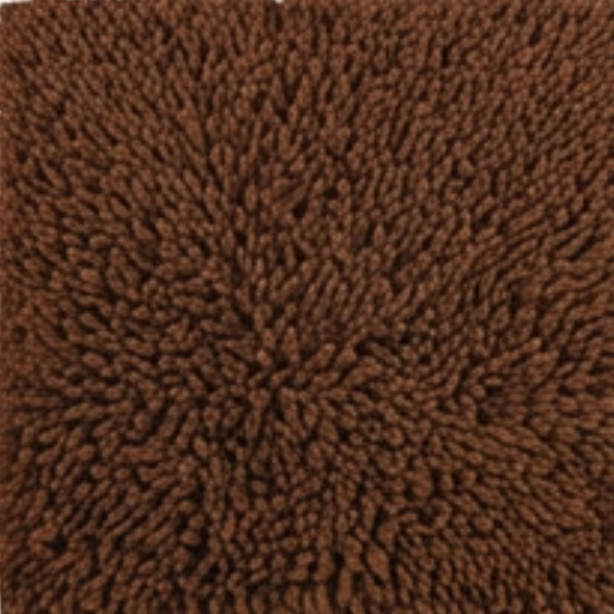 Absorbent Dog Door Mat for Muddy Paws