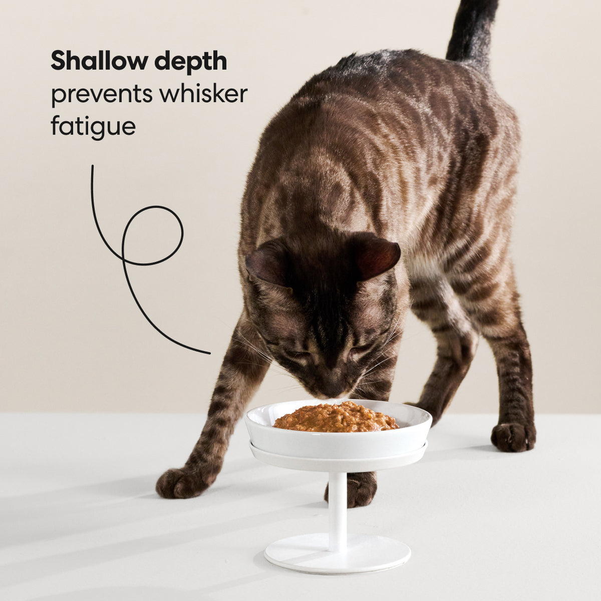 Elevated Cat Bowl Stand