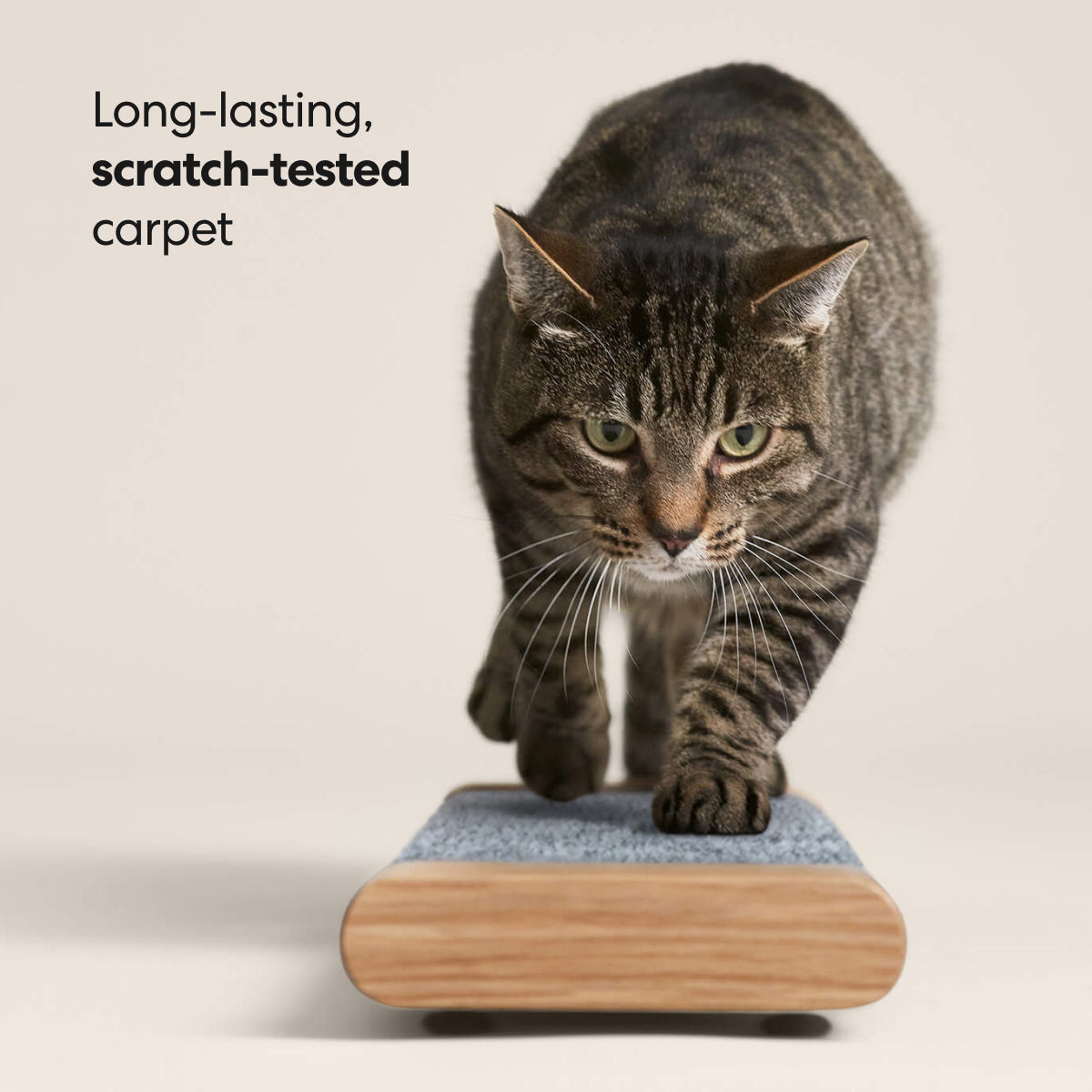 Cat Scratching Board