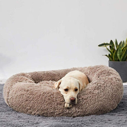 FurGrovers Calming Dog Bed