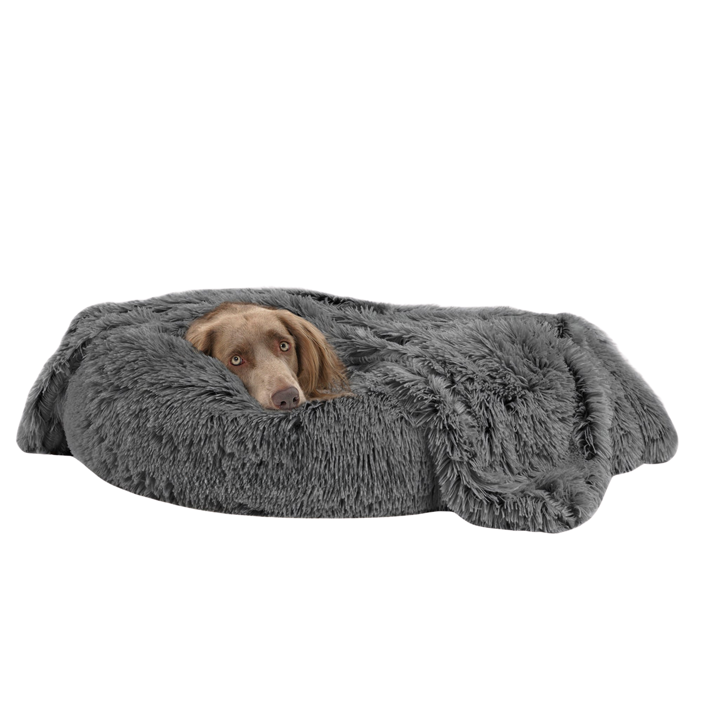 Calming Pet Throw Blanket