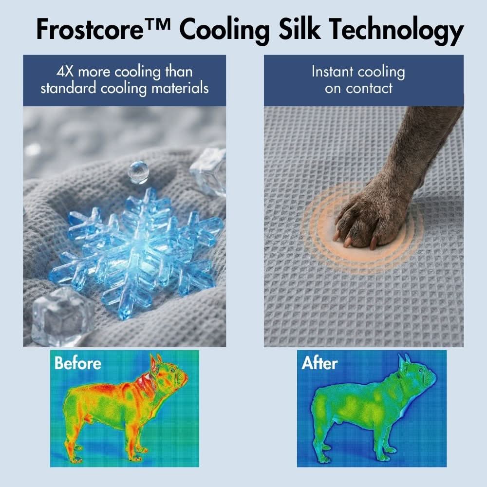 Cooling Couch Cover Dog Bed with Bolster Support