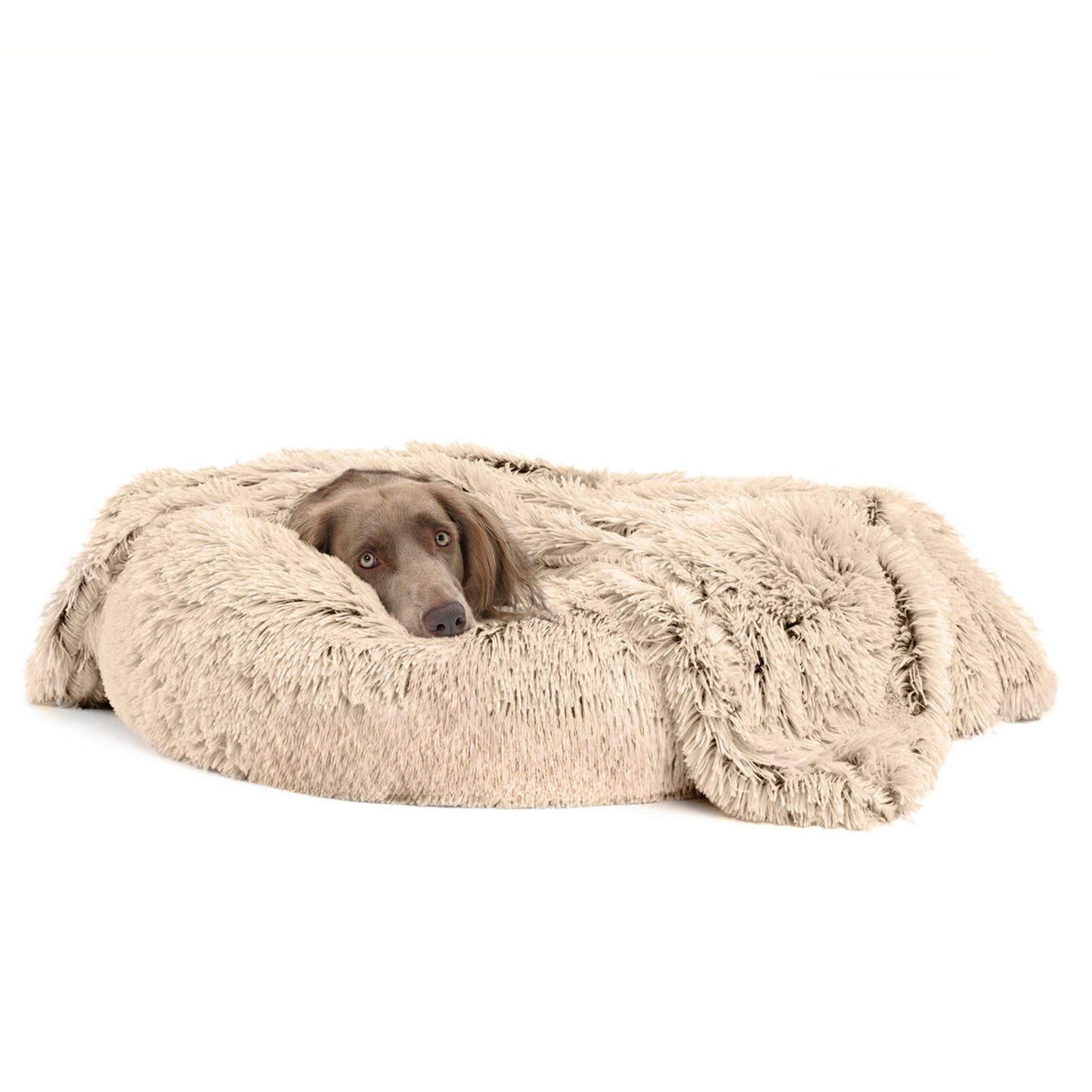 Calming Pet Throw Blanket