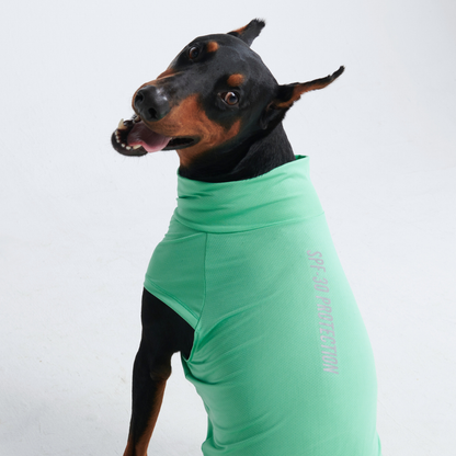 Sun Protection Dog T-Shirt