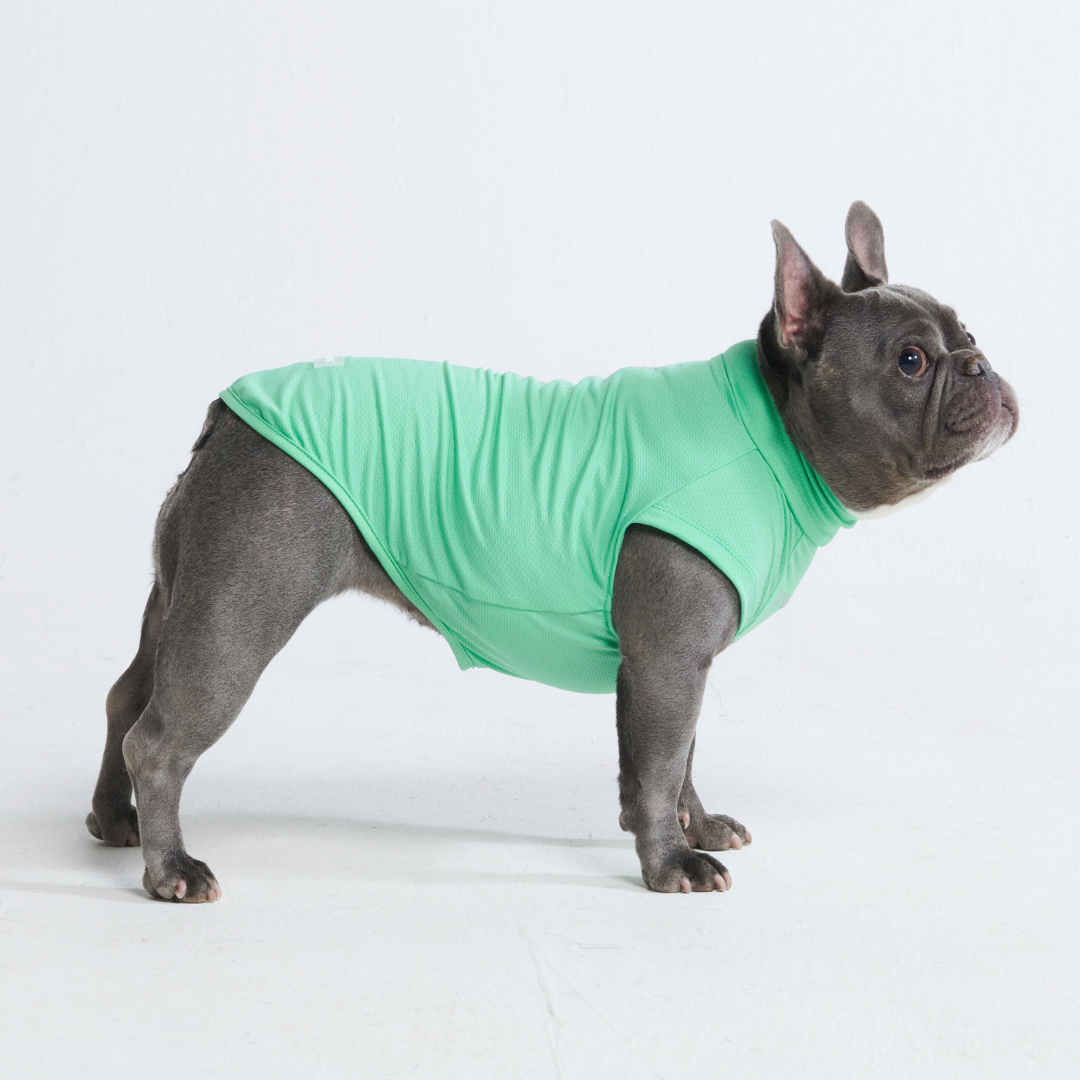 Sun Protection Dog T-Shirt