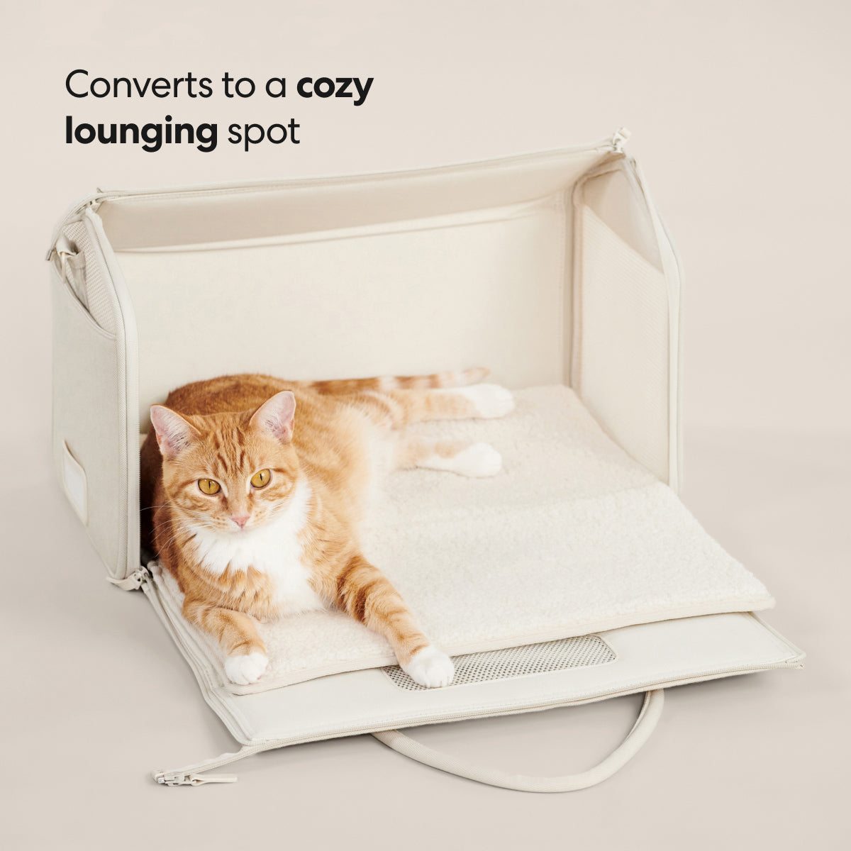 Cat Travel Carrier
