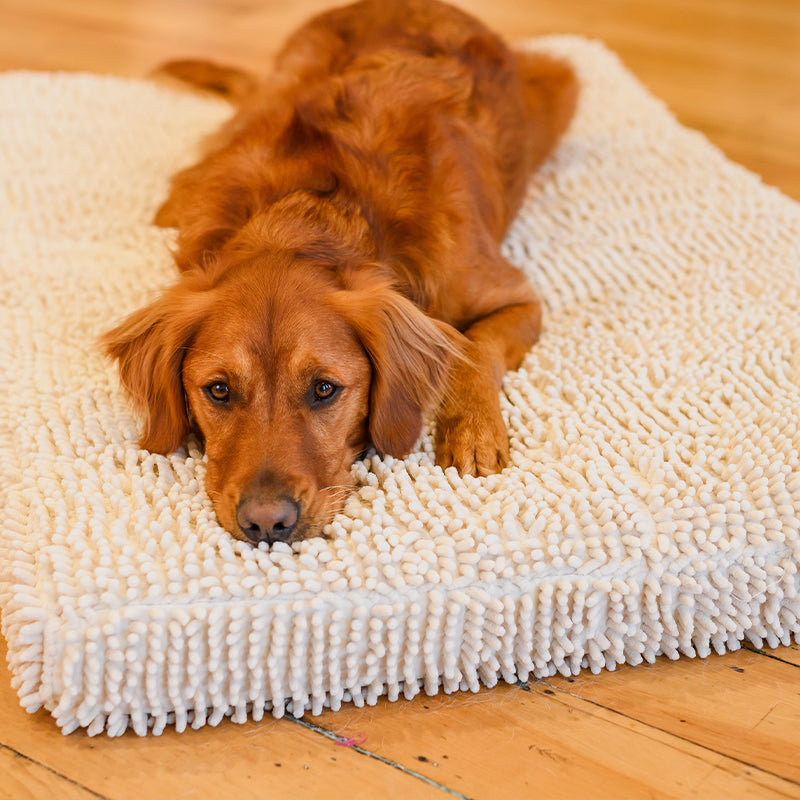 Quick Dry Dog Bed Cover