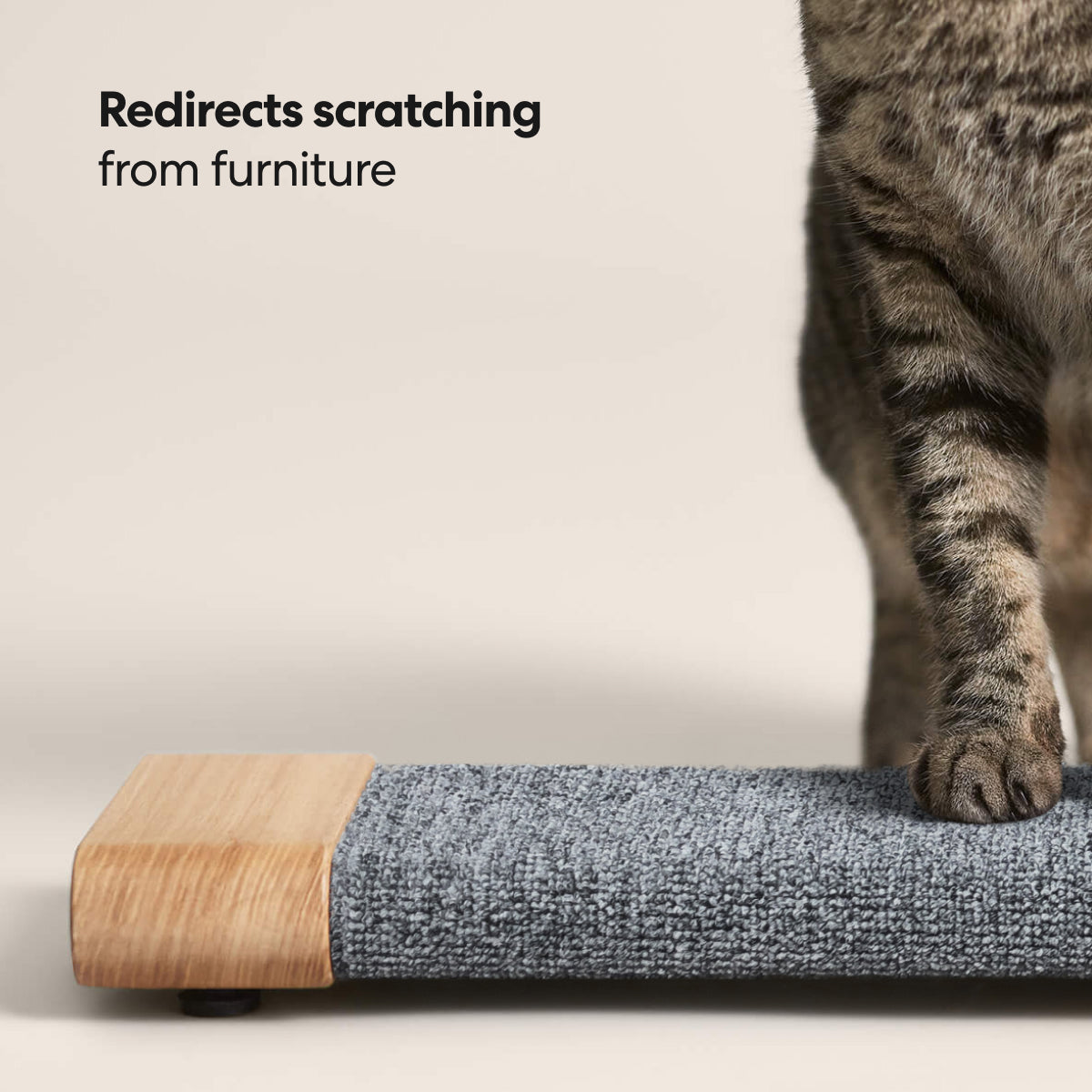 Cat Scratching Board