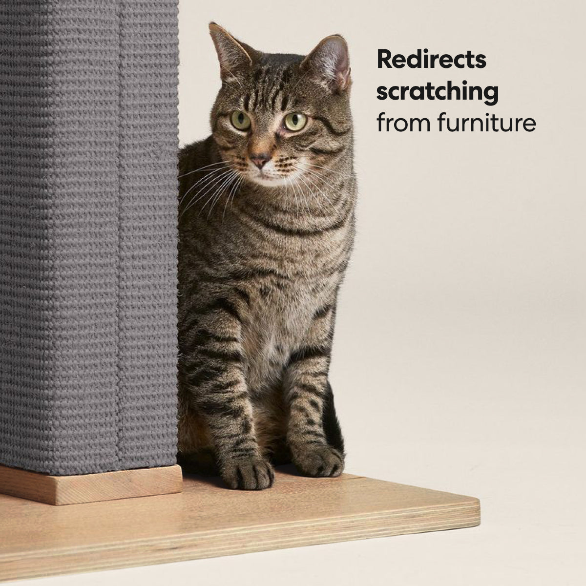 Tall Cat Scratching Post
