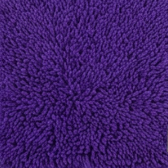 Absorbent Dog Door Mat for Muddy Paws
