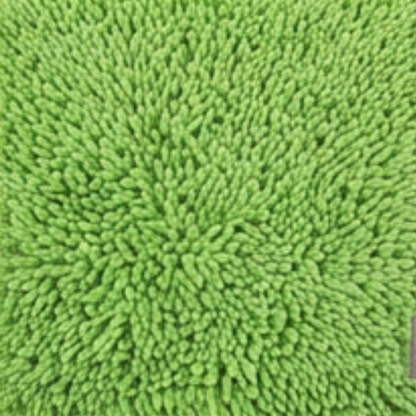 Absorbent Dog Door Mat for Muddy Paws