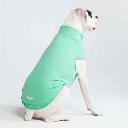 Sun Protection Dog T-Shirt