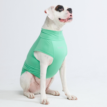 Sun Protection Dog T-Shirt