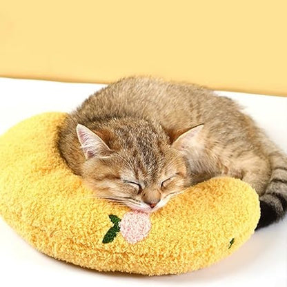 Calming Pet Pillow