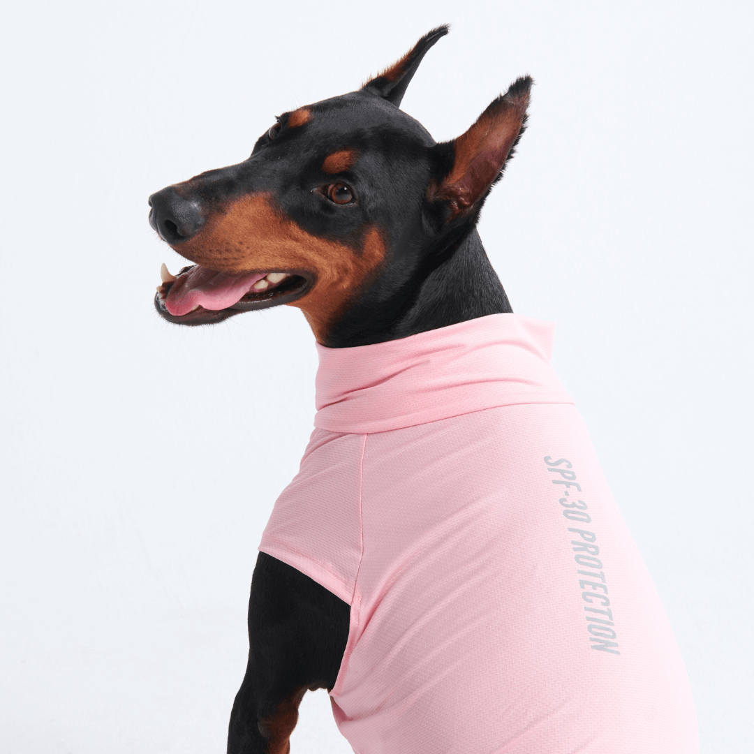 Sun Protection Dog T-Shirt