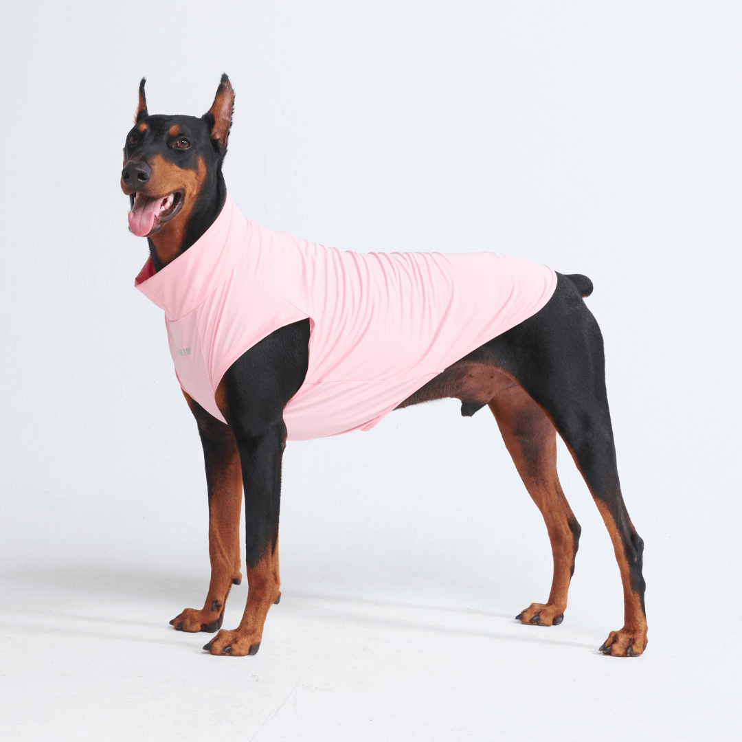 Sun Protection Dog T-Shirt
