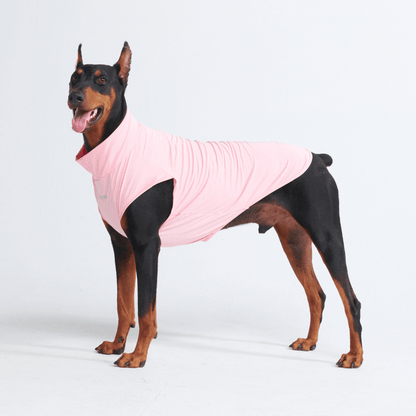 Sun Protection Dog T-Shirt