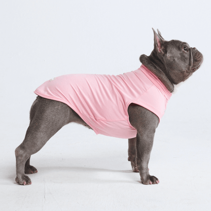 Sun Protection Dog T-Shirt
