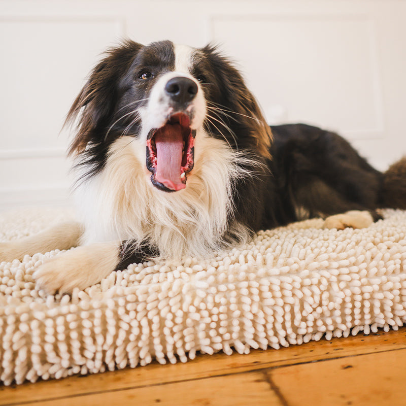 Quick Dry Dog Bed Cover