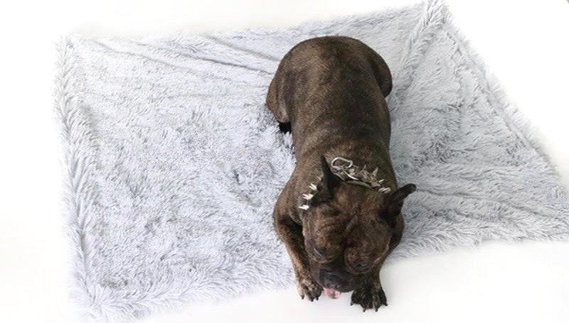 Calming Pet Throw Blanket