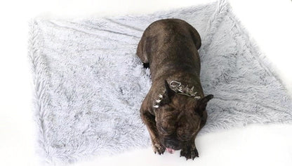 Calming Pet Throw Blanket