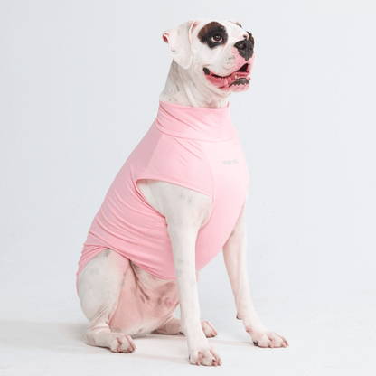 Sun Protection Dog T-Shirt