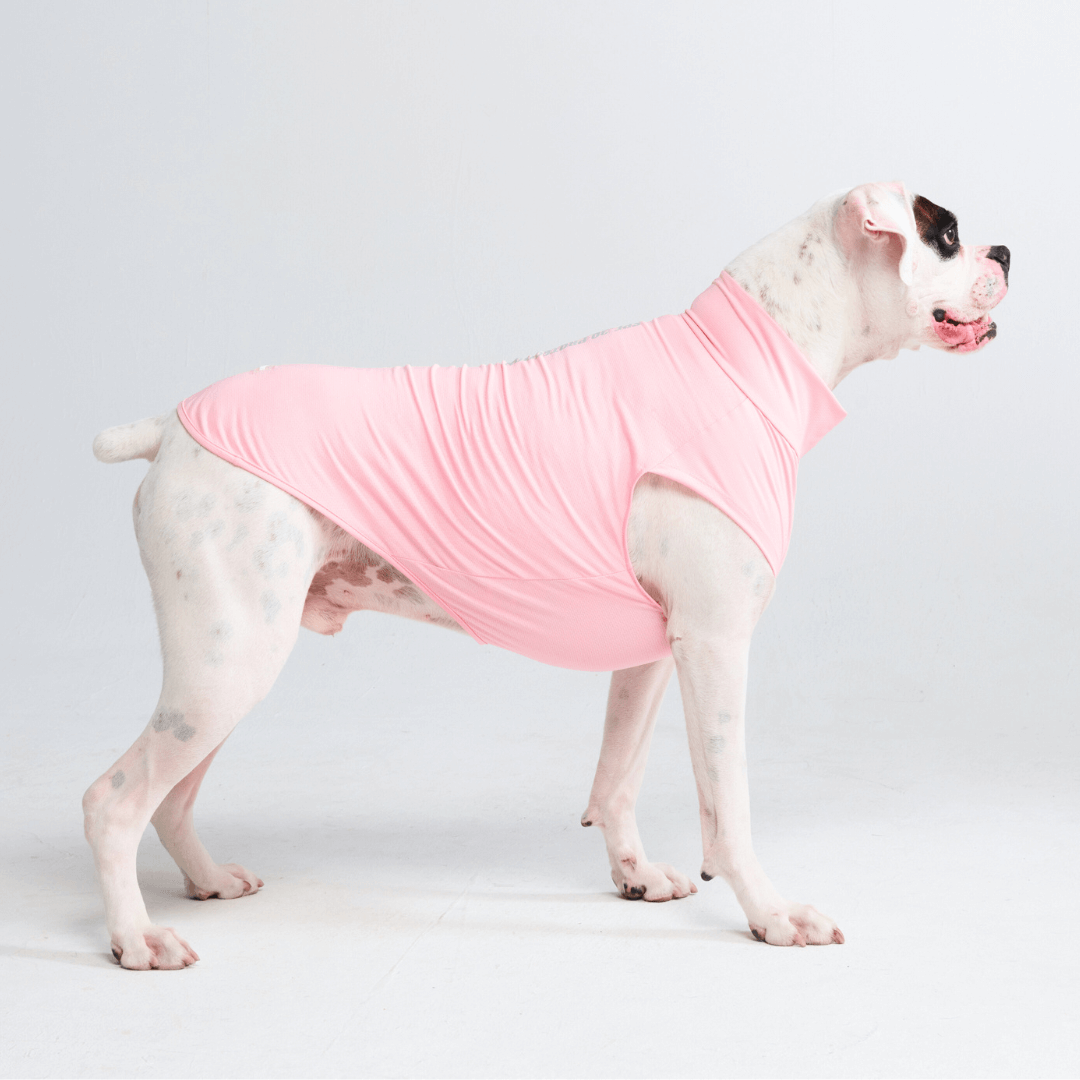 Sun Protection Dog T-Shirt