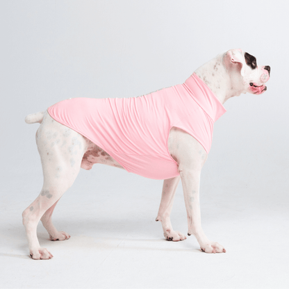Sun Protection Dog T-Shirt