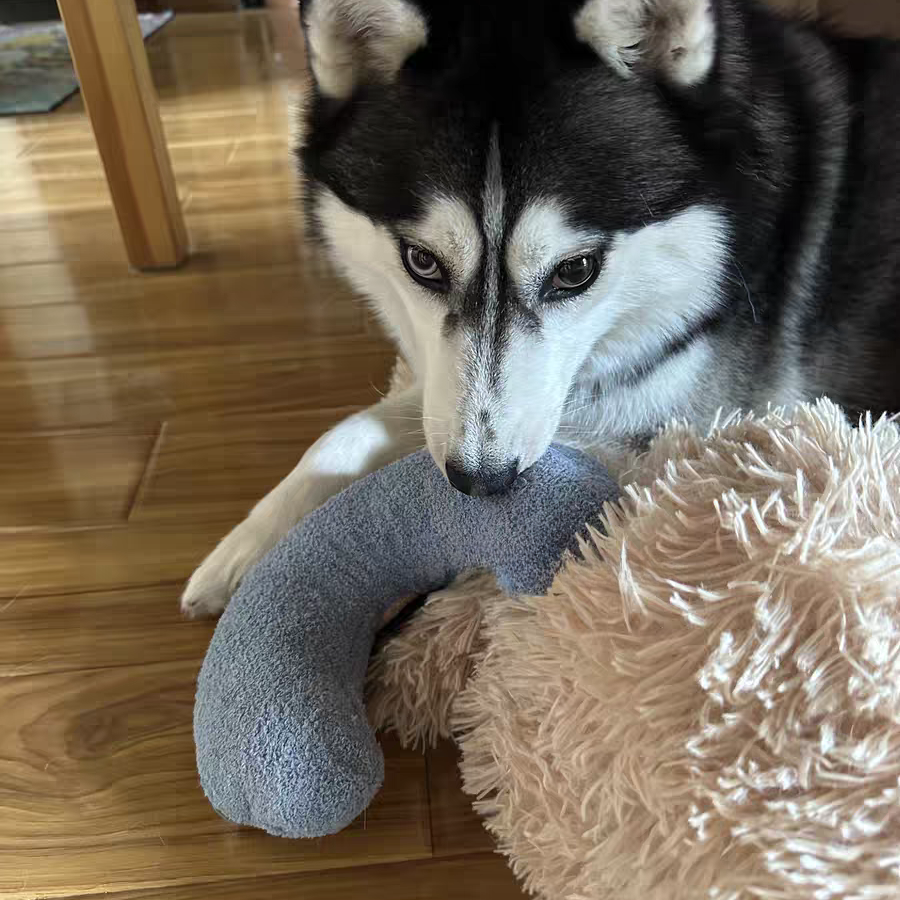 Calming Pet Pillow