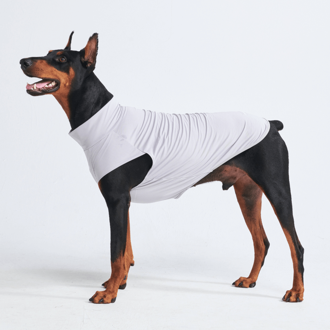 Sun Protection Dog T-Shirt