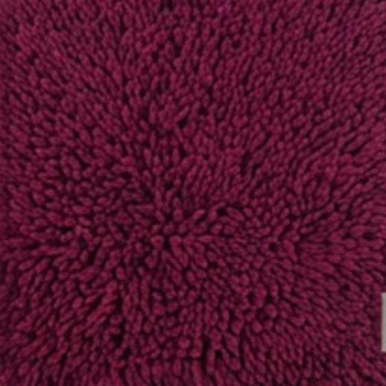 Absorbent Dog Door Mat for Muddy Paws