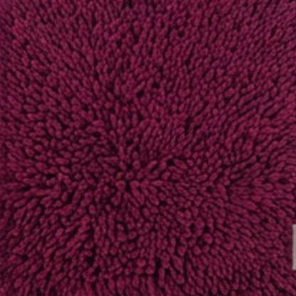 Absorbent Dog Door Mat for Muddy Paws