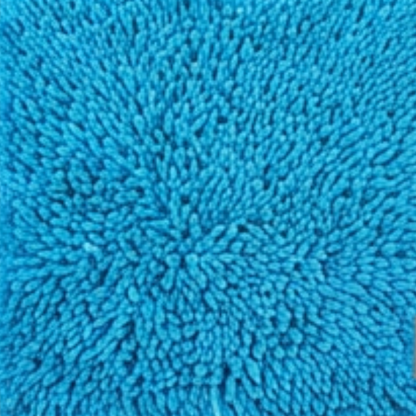 Absorbent Dog Door Mat for Muddy Paws