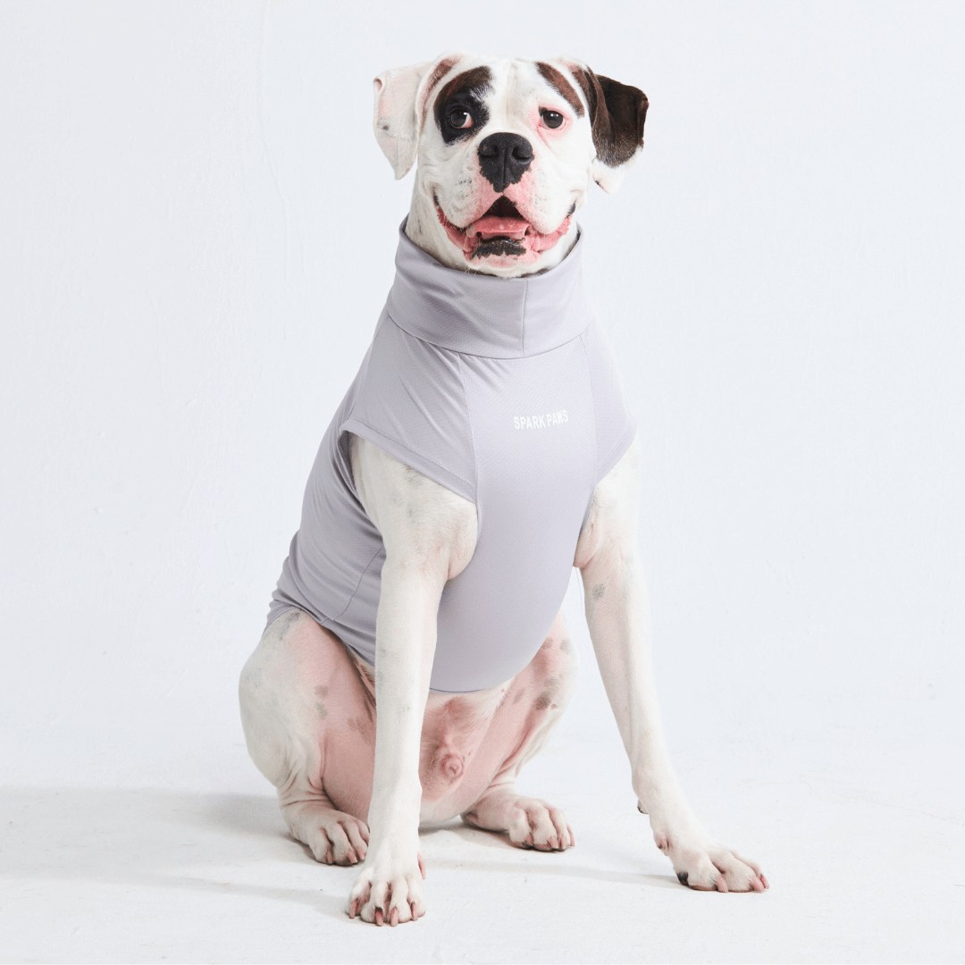 Sun Protection Dog T-Shirt