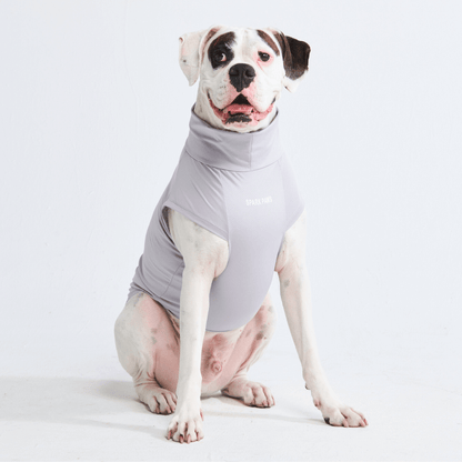 Sun Protection Dog T-Shirt