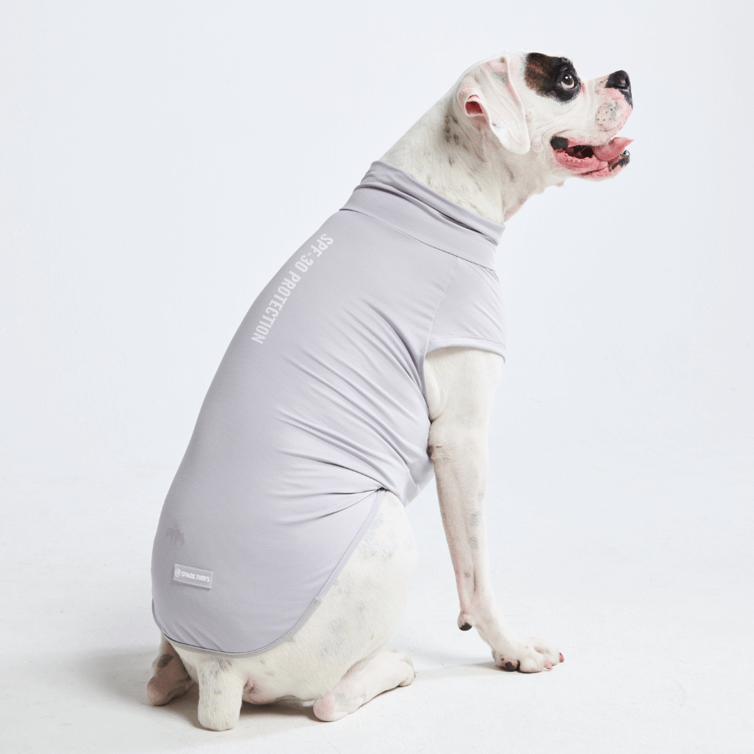 Sun Protection Dog T-Shirt
