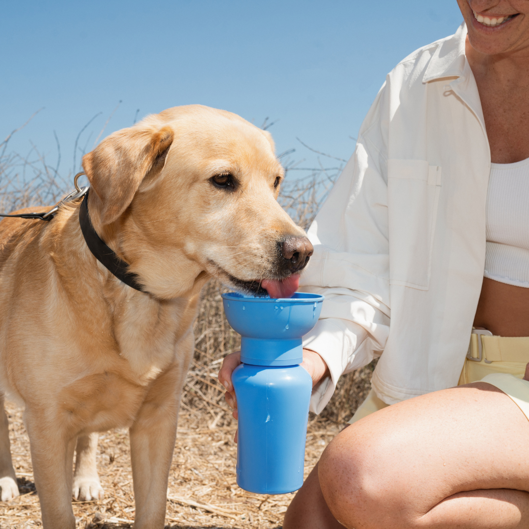 Portable Dog Travel Water Bottle - 20oz