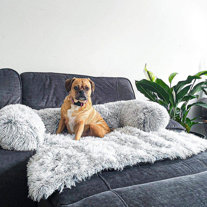 Calming Dog Couch Cover