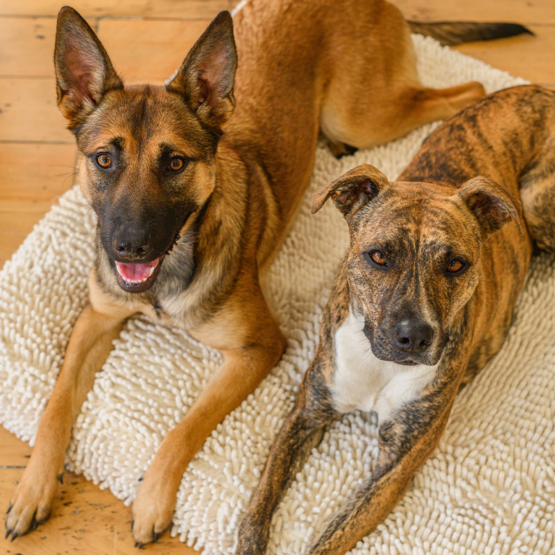 Quick Dry Dog Bed Cover
