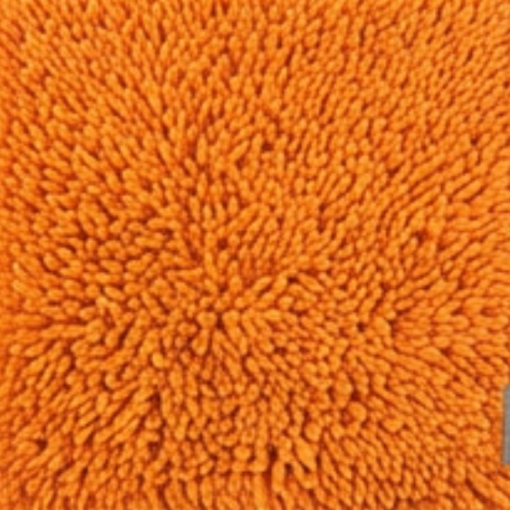 Absorbent Dog Door Mat for Muddy Paws